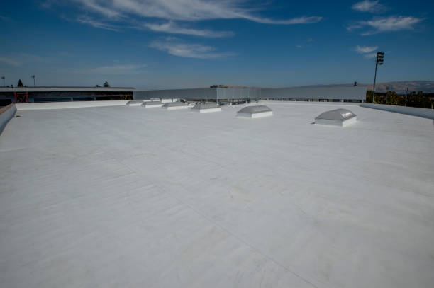 Best Roof Installation  in Despard, WV
