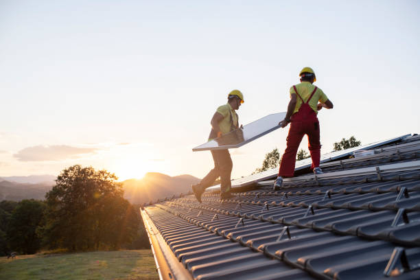 Best Roof Insulation Installation  in Despard, WV
