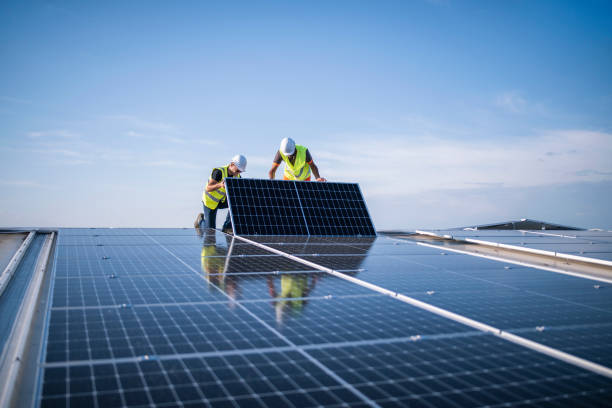 Best Emergency Roof Repair Services  in Despard, WV