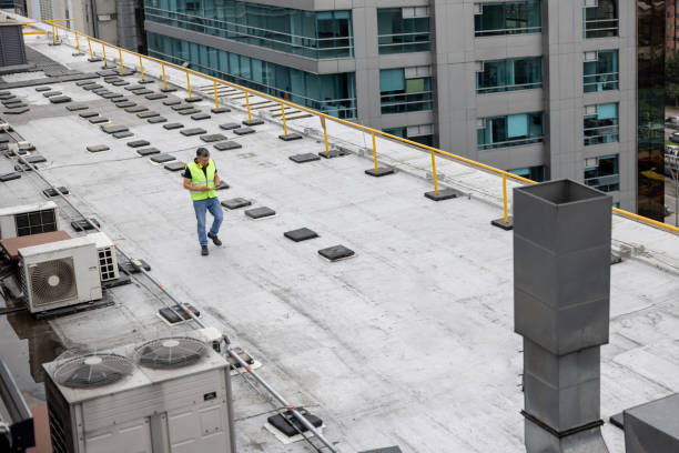 Best Roof Insulation Installation  in Despard, WV