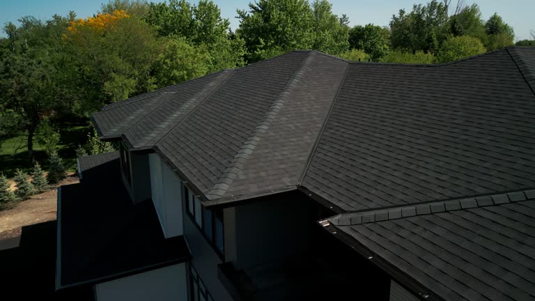 Best Roof Ventilation Installation  in Despard, WV