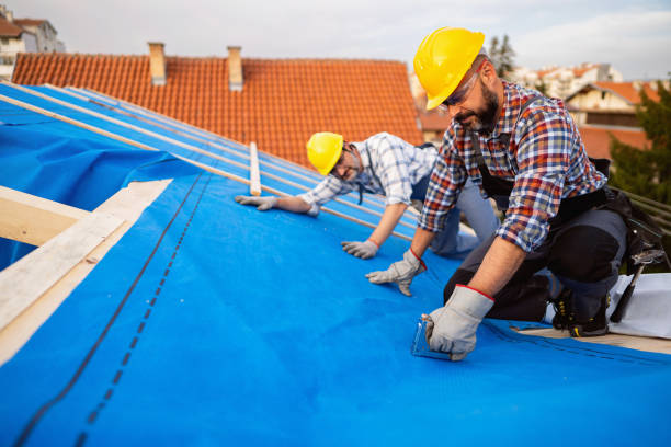 Best Commercial Roofing Services  in Despard, WV