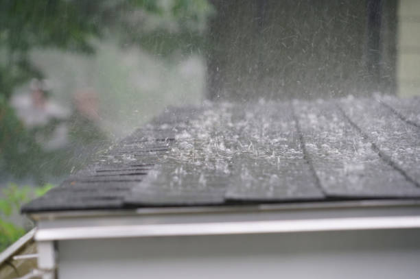 Best Skylight Installation and Repair  in Despard, WV