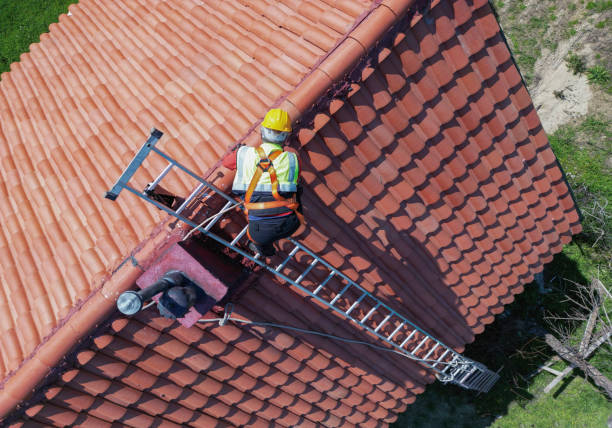 Best Steel Roofing  in Despard, WV