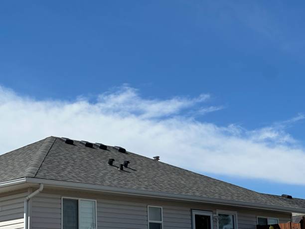 Best Roof Maintenance and Cleaning  in Despard, WV